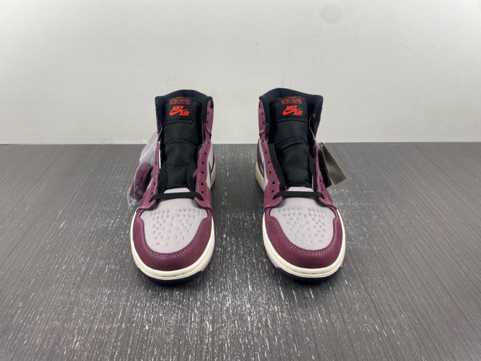Air Jordan 1 Element Gore-Tex DB2889-500