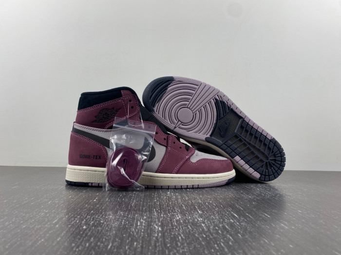 Air Jordan 1 Element Gore-Tex DB2889-500
