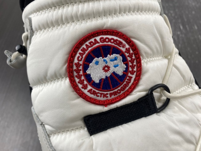 CG Toronto Boots