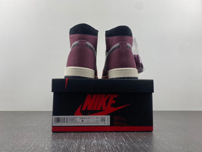 Air Jordan 1 Element Gore-Tex DB2889-500