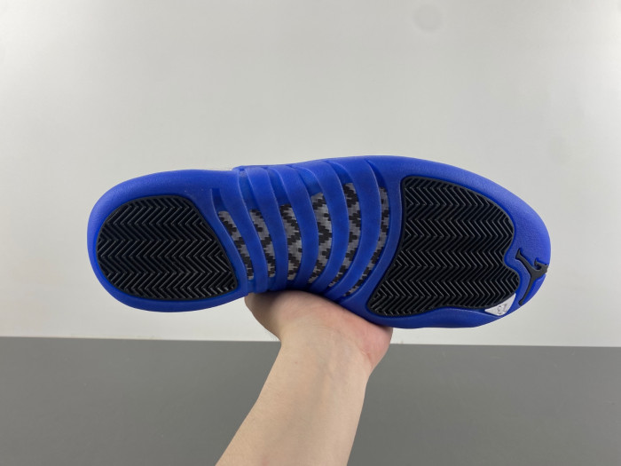 Air Jordan 12 “Blueberry” CT8013-140