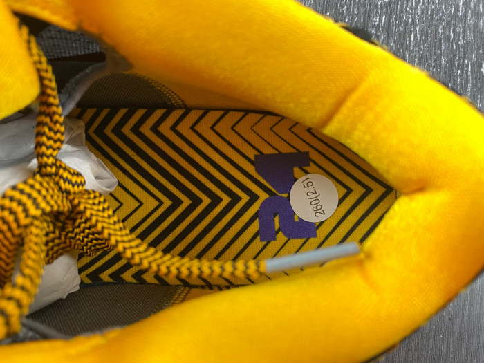 Nike Kobe 4 Protro Carpe Diem AV6339-001