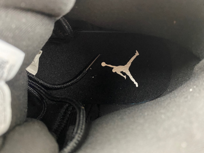 Air Jordan 12 “Black/Wolf Grey” CT8013-019