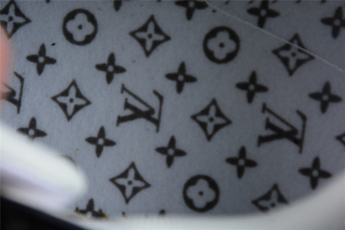 LV TRAINER SNEAKER LOW