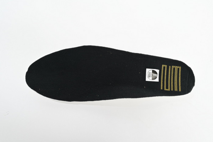 Air Jordan 11 “DMP” CT8012-170