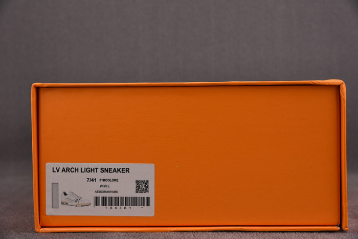 LV TRAINER SNEAKER LOW