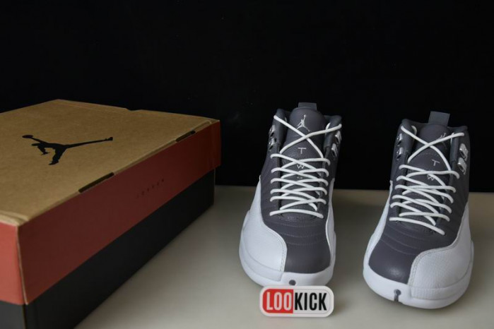 AIR JORDAN 12 “STEALTH” CT8025-610